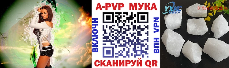 Купить  Кяхта  APVP VHQ 