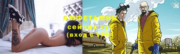 шишки Баксан