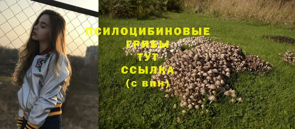 молекула духа Балабаново