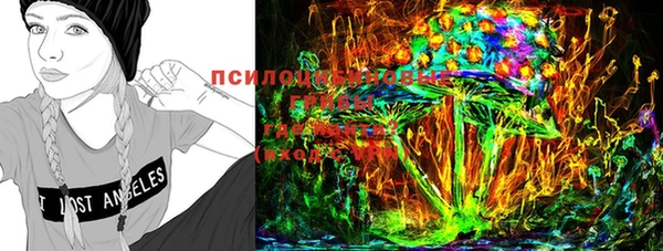 шишки Баксан