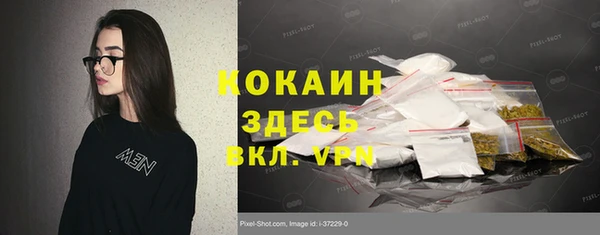 шишки Баксан